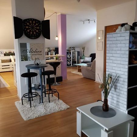 Apartman Atelier 카를로바츠 외부 사진