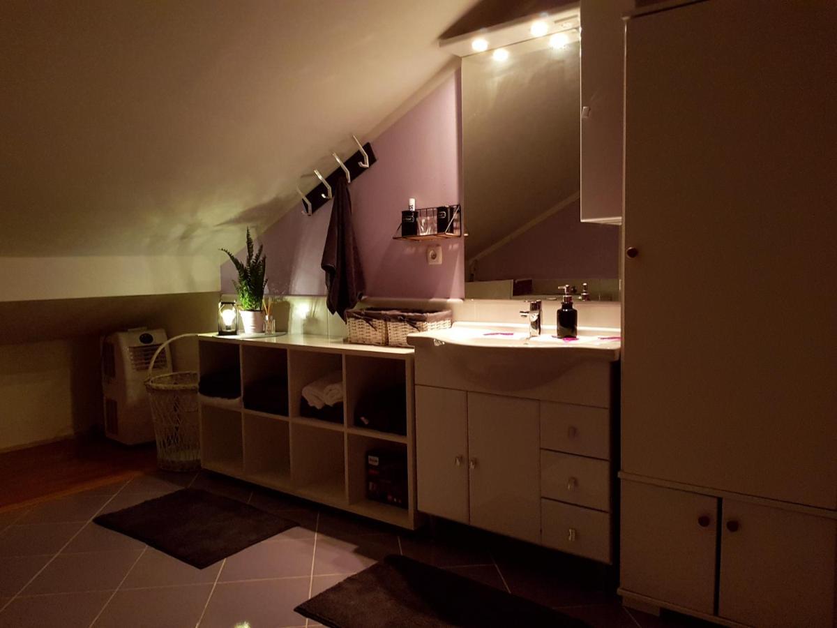 Apartman Atelier 카를로바츠 외부 사진