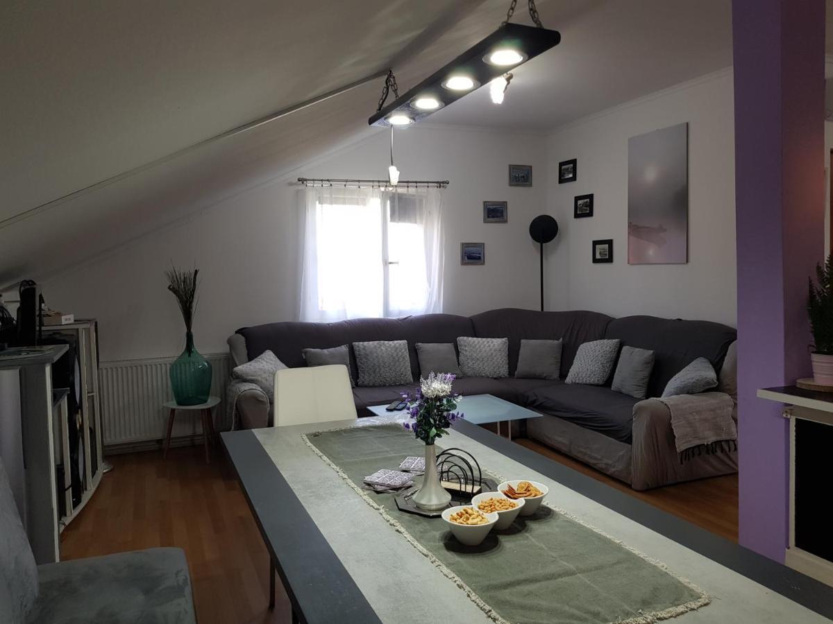 Apartman Atelier 카를로바츠 외부 사진