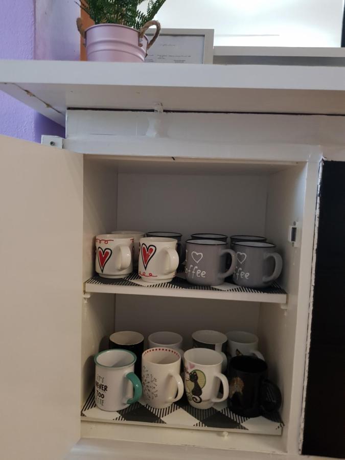 Apartman Atelier 카를로바츠 외부 사진
