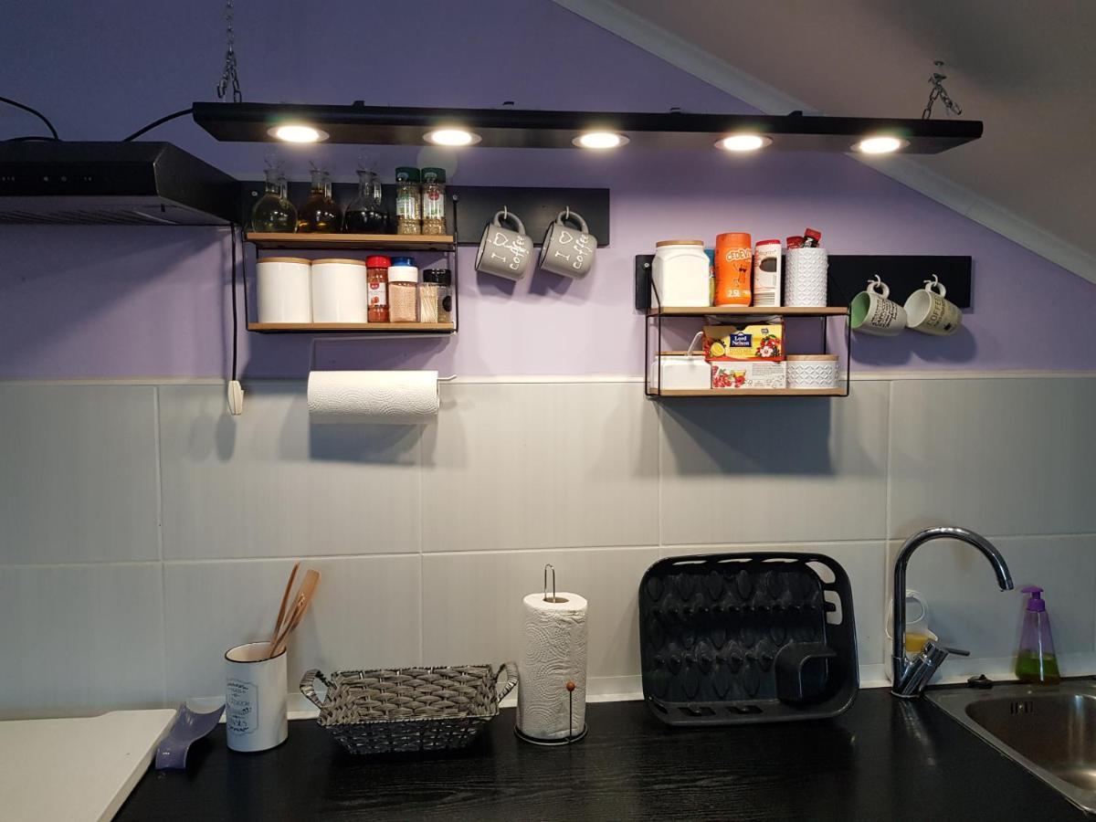 Apartman Atelier 카를로바츠 외부 사진