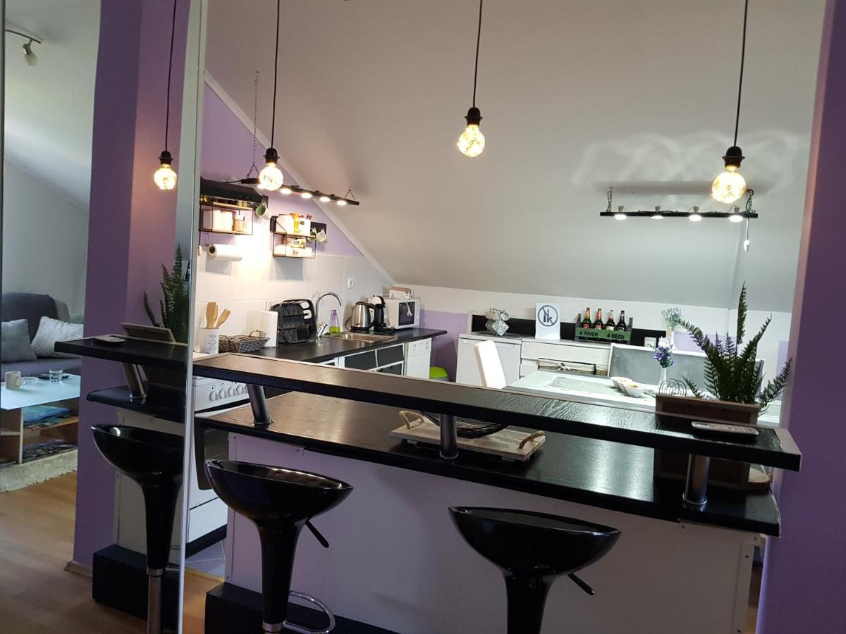 Apartman Atelier 카를로바츠 외부 사진
