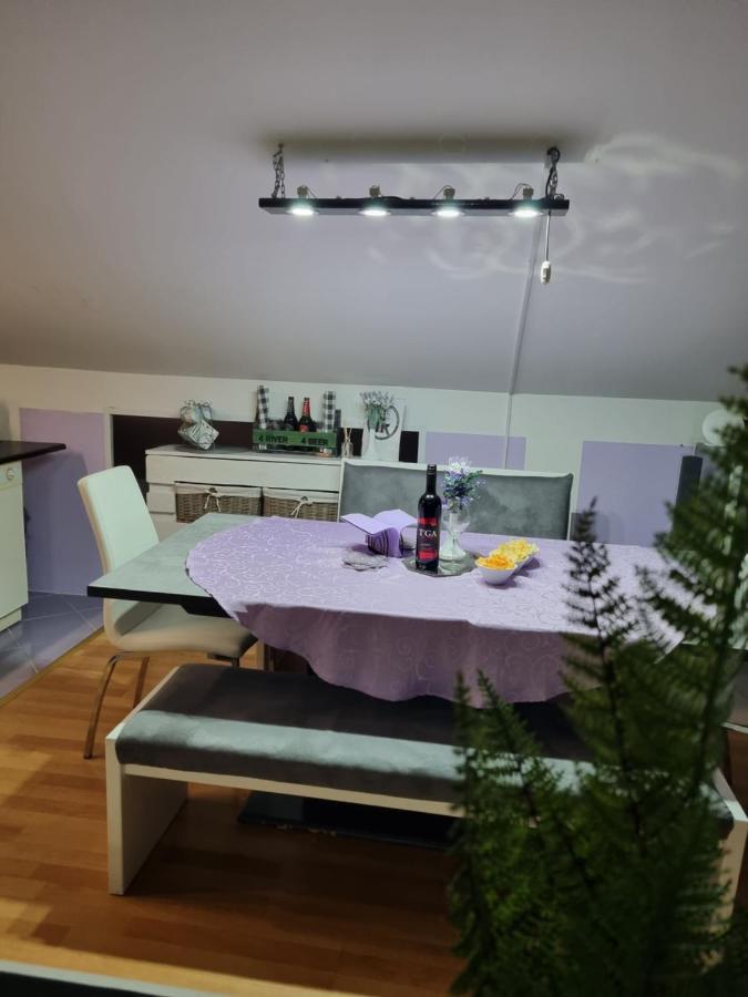 Apartman Atelier 카를로바츠 외부 사진