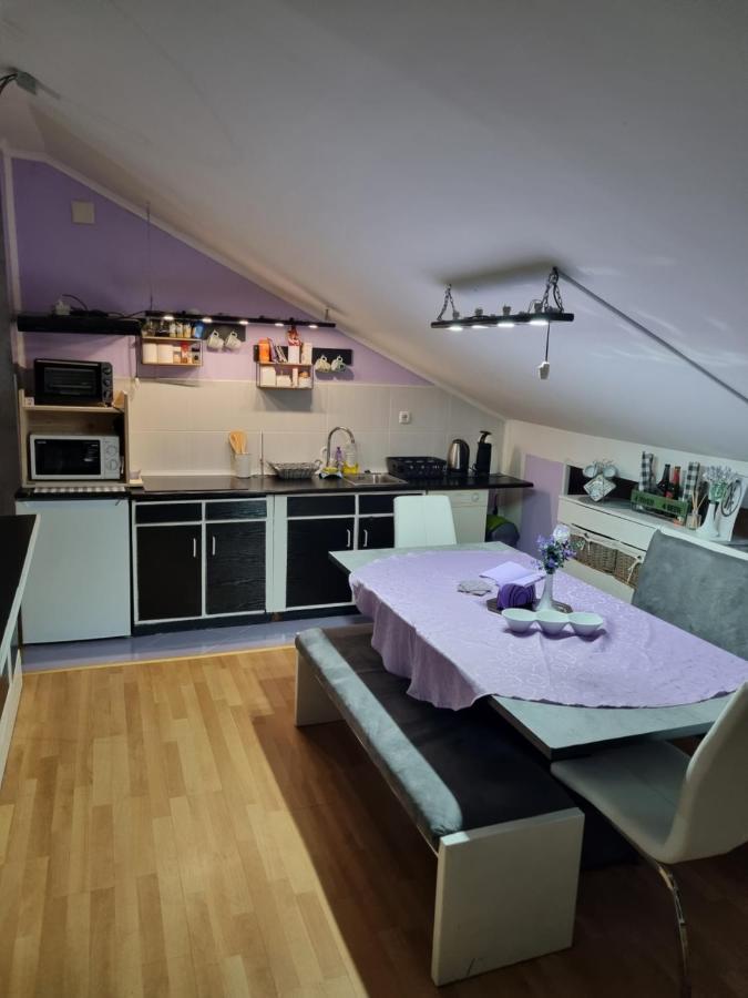 Apartman Atelier 카를로바츠 외부 사진