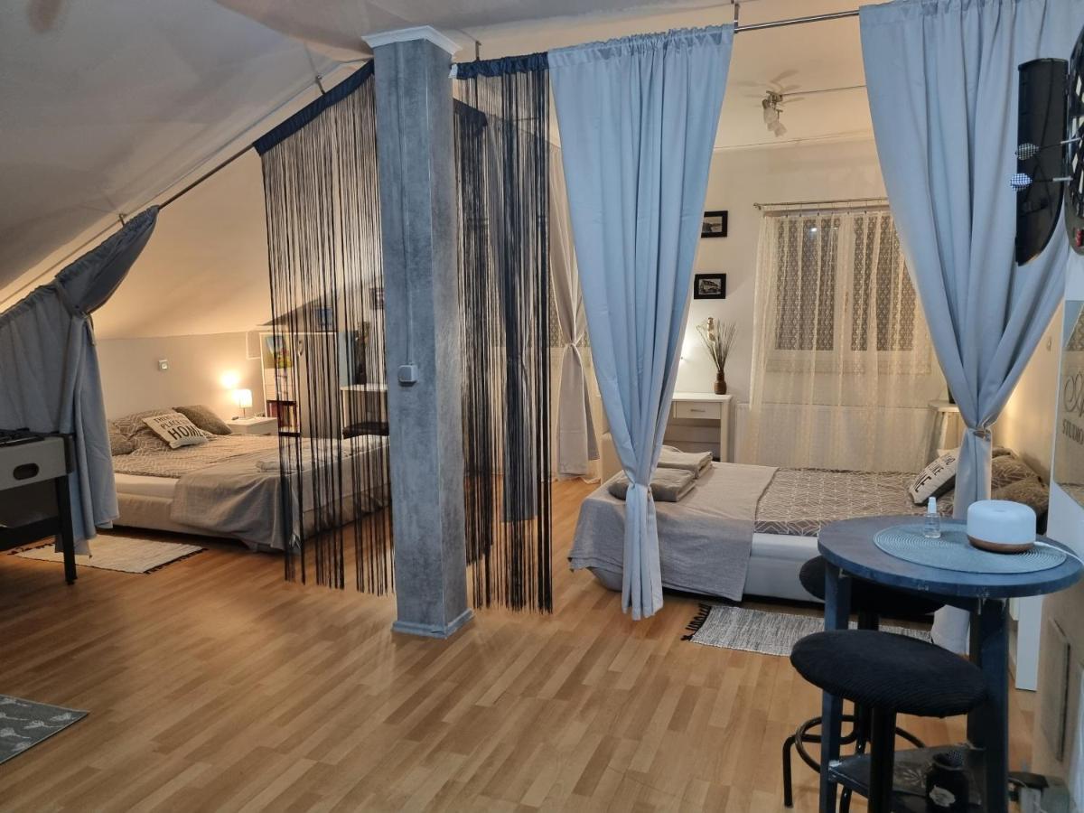 Apartman Atelier 카를로바츠 외부 사진