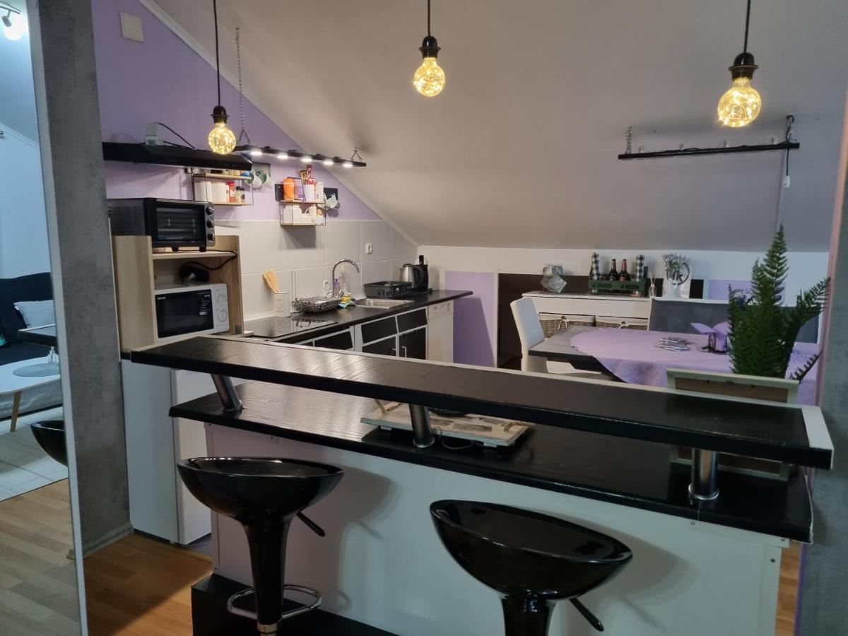 Apartman Atelier 카를로바츠 외부 사진